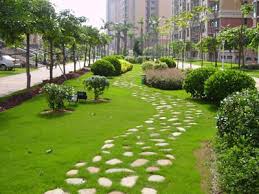常宁绿化和市容管理局