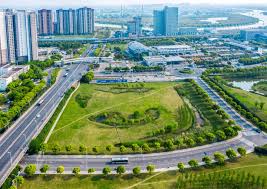 beats365 南阳最大绿化苗市场在哪里